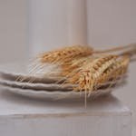 Elegant still life with stacked ceramic plates and wheat stems on a white surface.