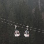 Peaceful aerial view of cable cars traversing a misty forest, perfect for serene travel and nature visuals.